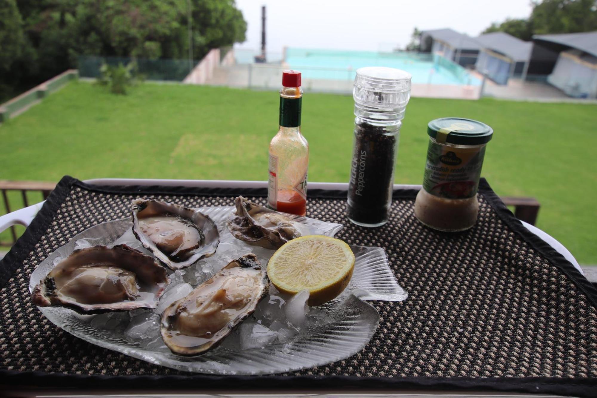 Tsitsikamma On Sea Poolside Cabanas - They Are Not Tents Witelsbos 外观 照片